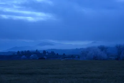 DSC_1105 (Large).JPG